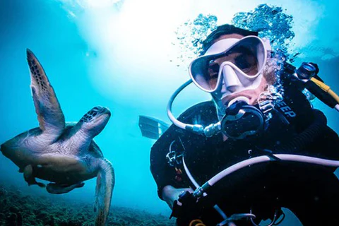 كيف تتغلب على الخوف من الغوص؟