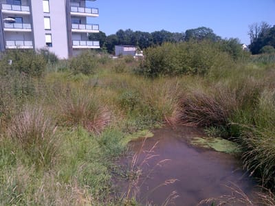 Pourquoi le débit de la Marle, la rivière des remparts, est-il si variable ?