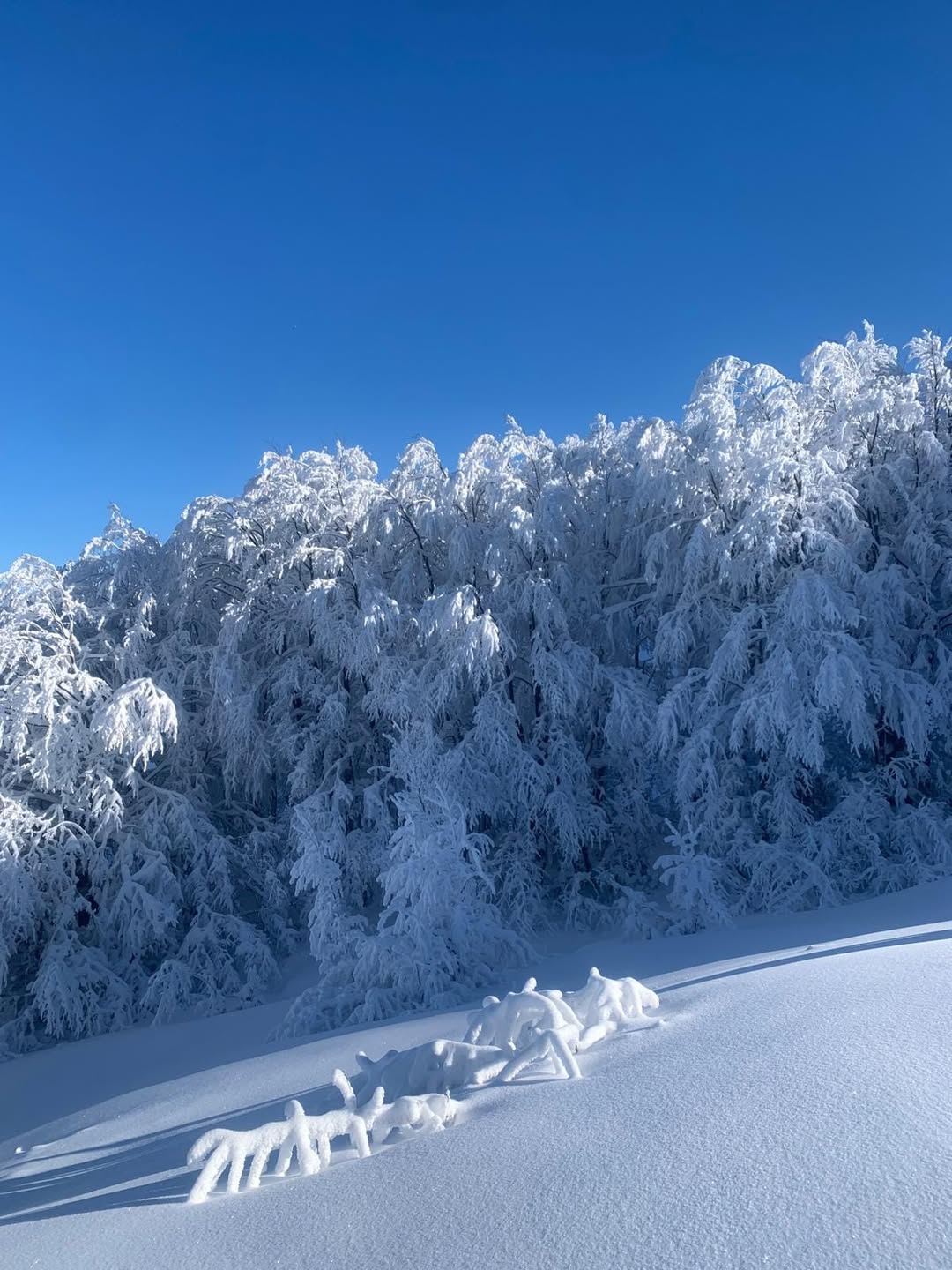 Previsioni sulle condizioni della montagna (Alpi Apuane e Appennino Tosco-Emiliano settentrionale)