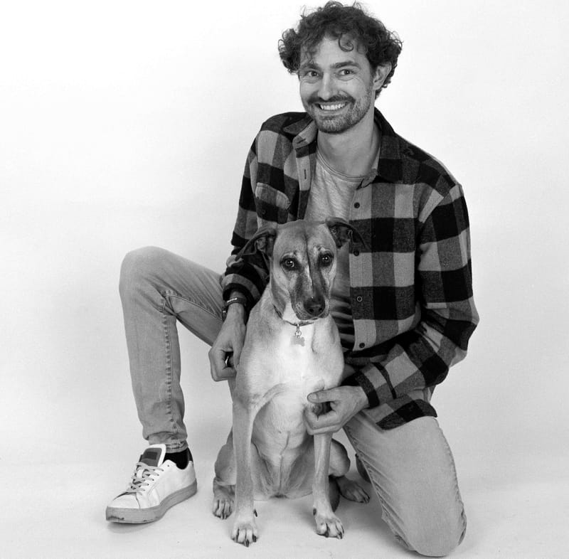 Projet "animaux de compagnie"