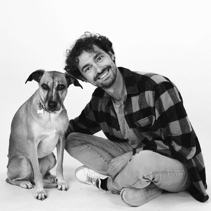 Projet "animaux de compagnie"