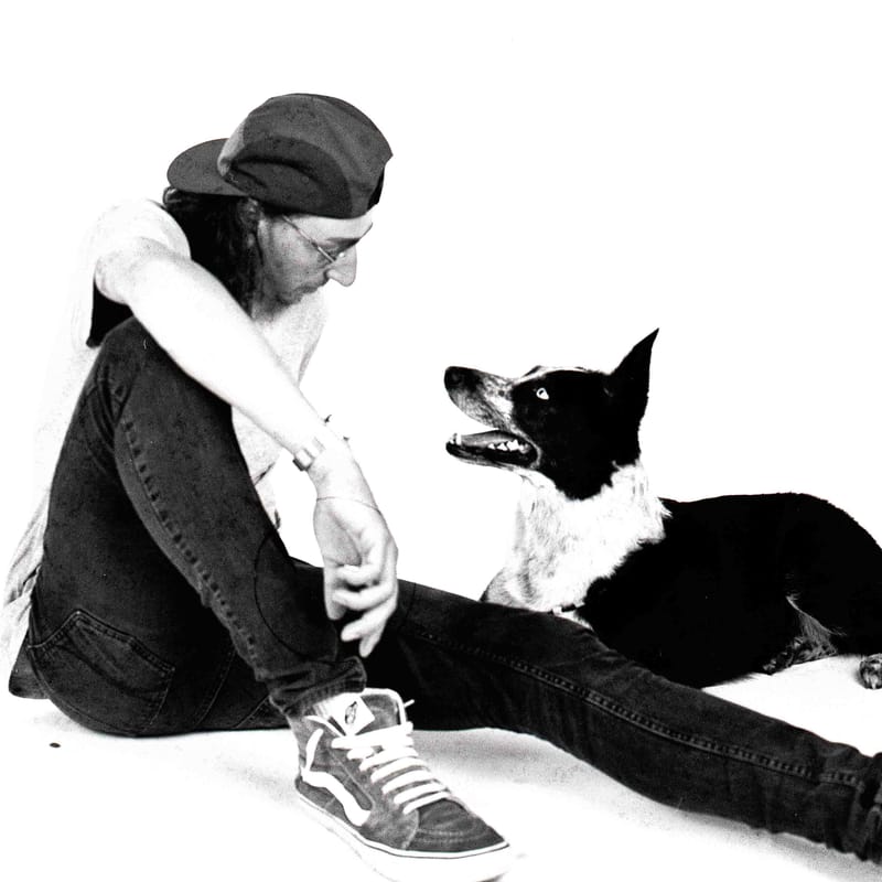 Projet "animaux de compagnie"