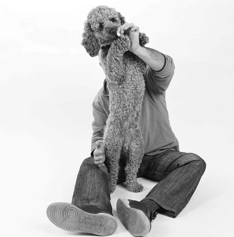 Projet "animaux de compagnie"