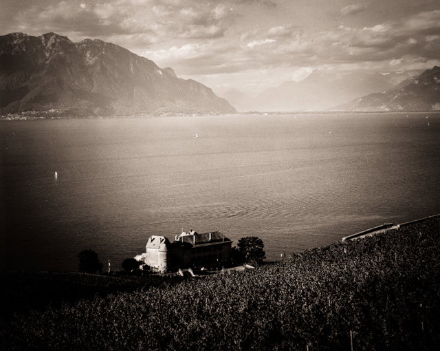 Les vignobles du Lavaux au bord du lac Leman (Canton de Vaud)