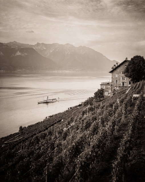 Les vignobles du Lavaux au bord du lac Leman (Canton de Vaud)