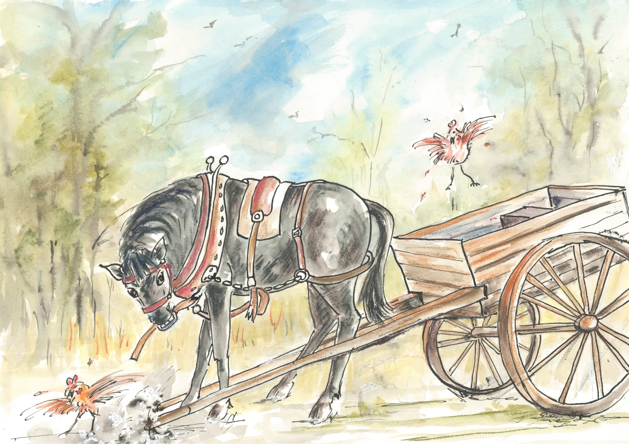 Mischief The Horse Who Could