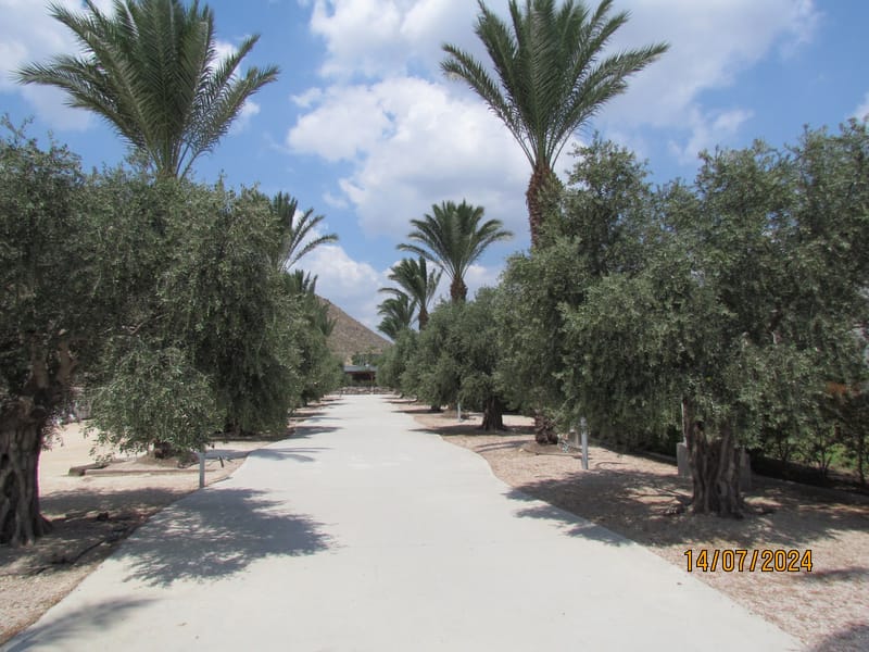 מלון מגדלה בעיר העתיקה מגדלה