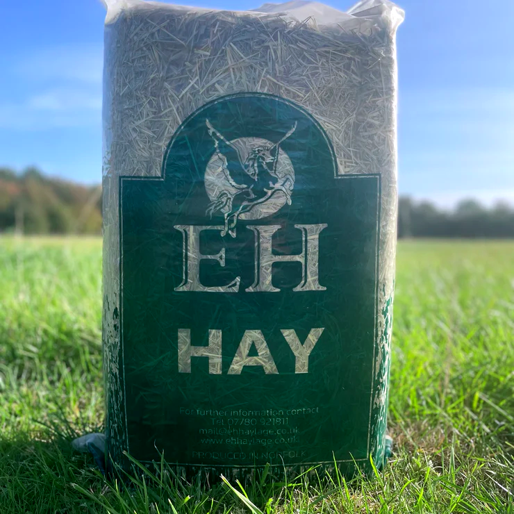 Hay