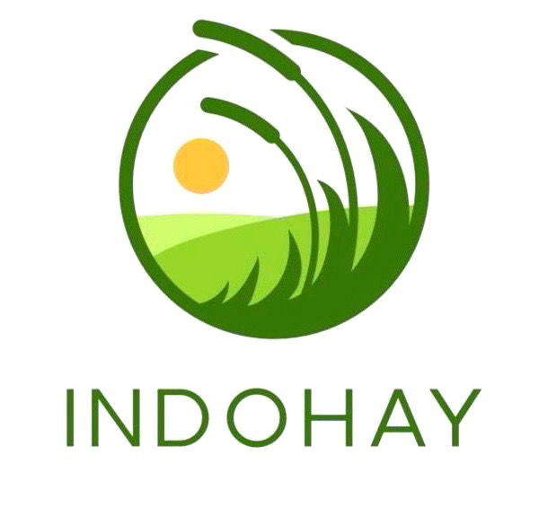 Indohay