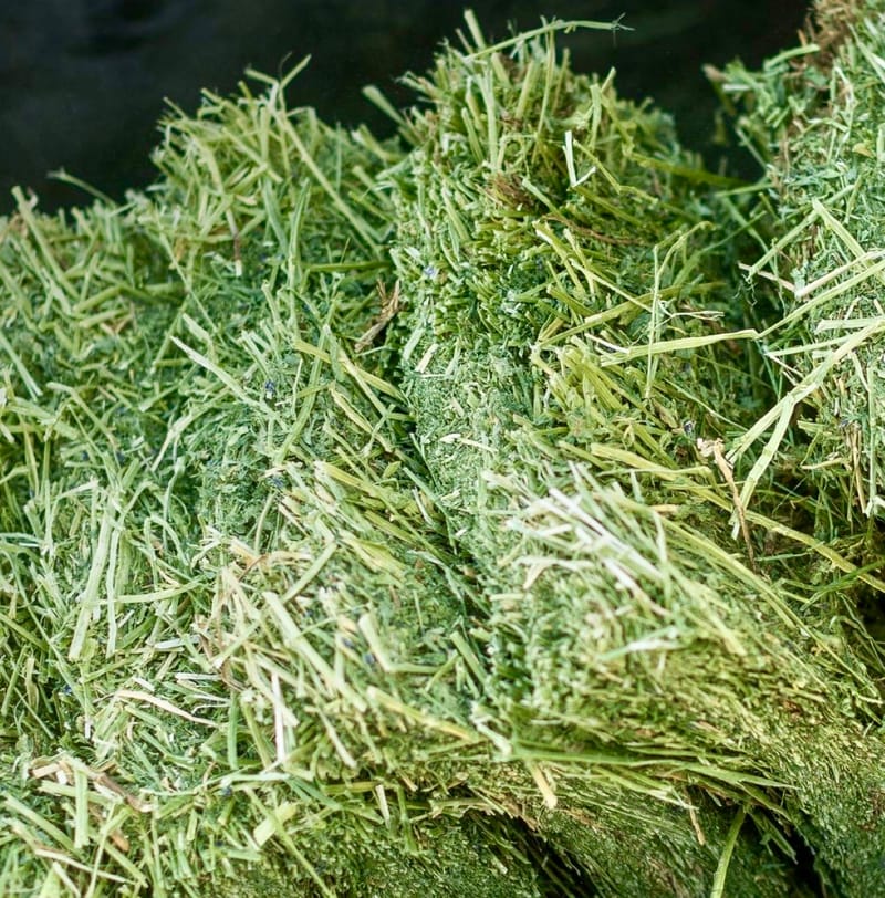 Alfalfa Hay (USA)