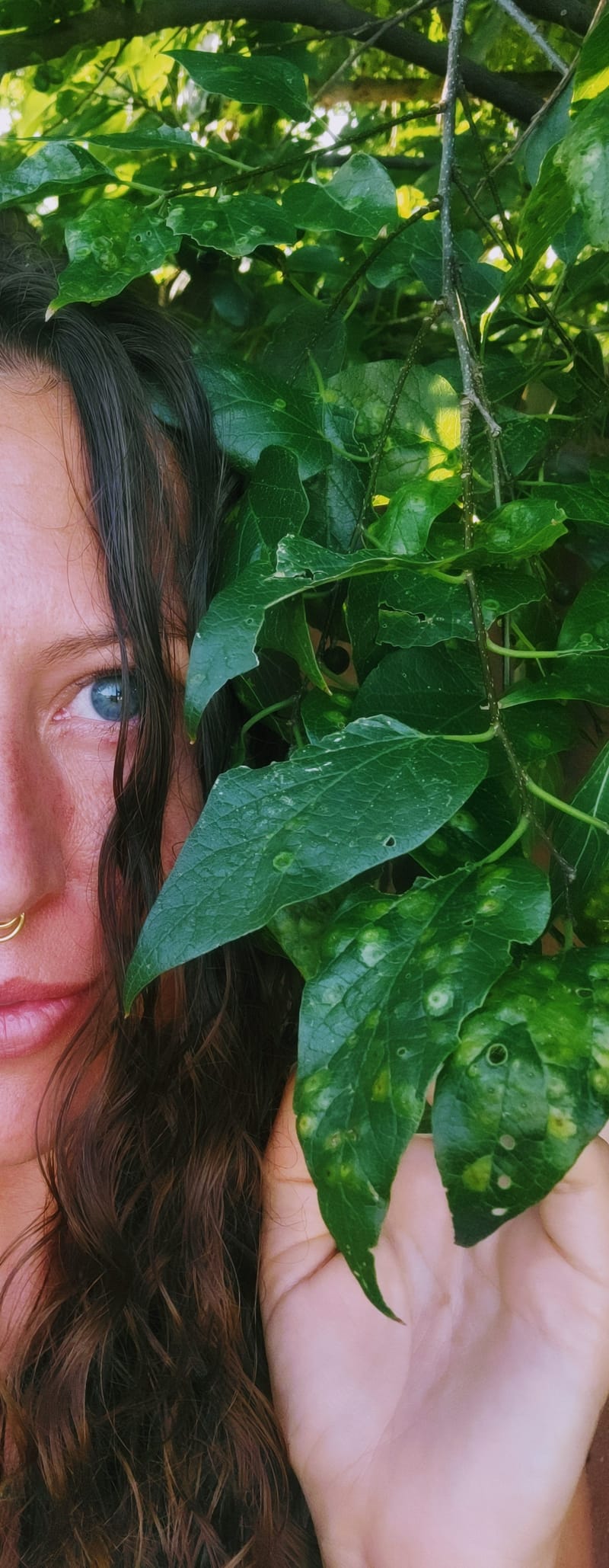 Virtual Healing Session