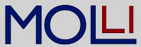 Online Learning Leadership