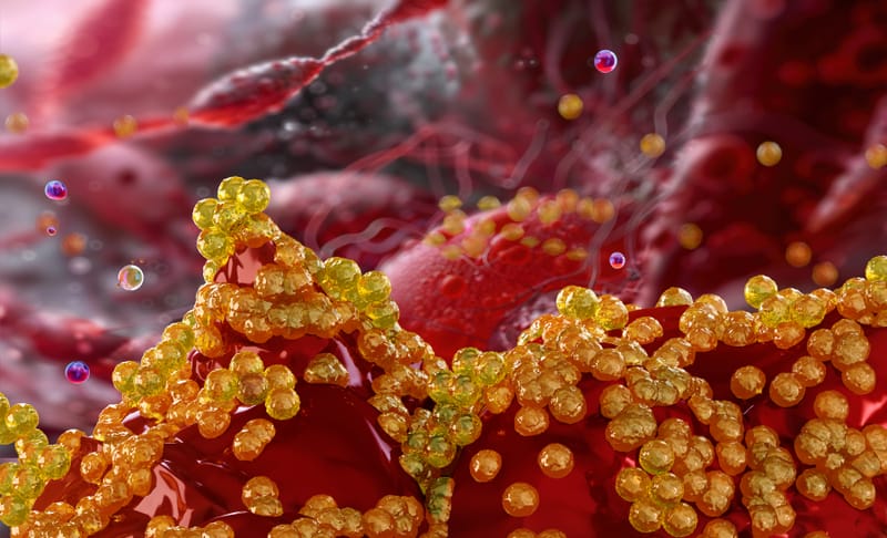 Inhibitory effect of plant flavonoid cyanidin on oral microbial biofilm