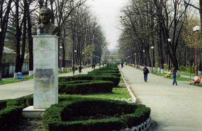 Găzduire sediu social în județul Bacău