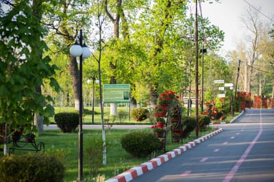 Găzduire sediu social în județul Teleorman