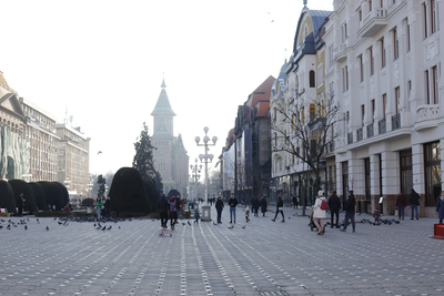 Găzduire sediu social în județul Timiș