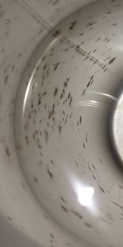 Filtration from Vortasy Vapourization for all Impurity and none Light Band Molecule Structure compatible Vibration Particles