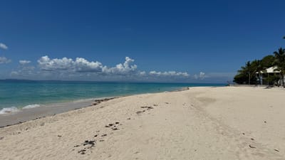 Туроператор - Турагент - Турист. Кто есть кто