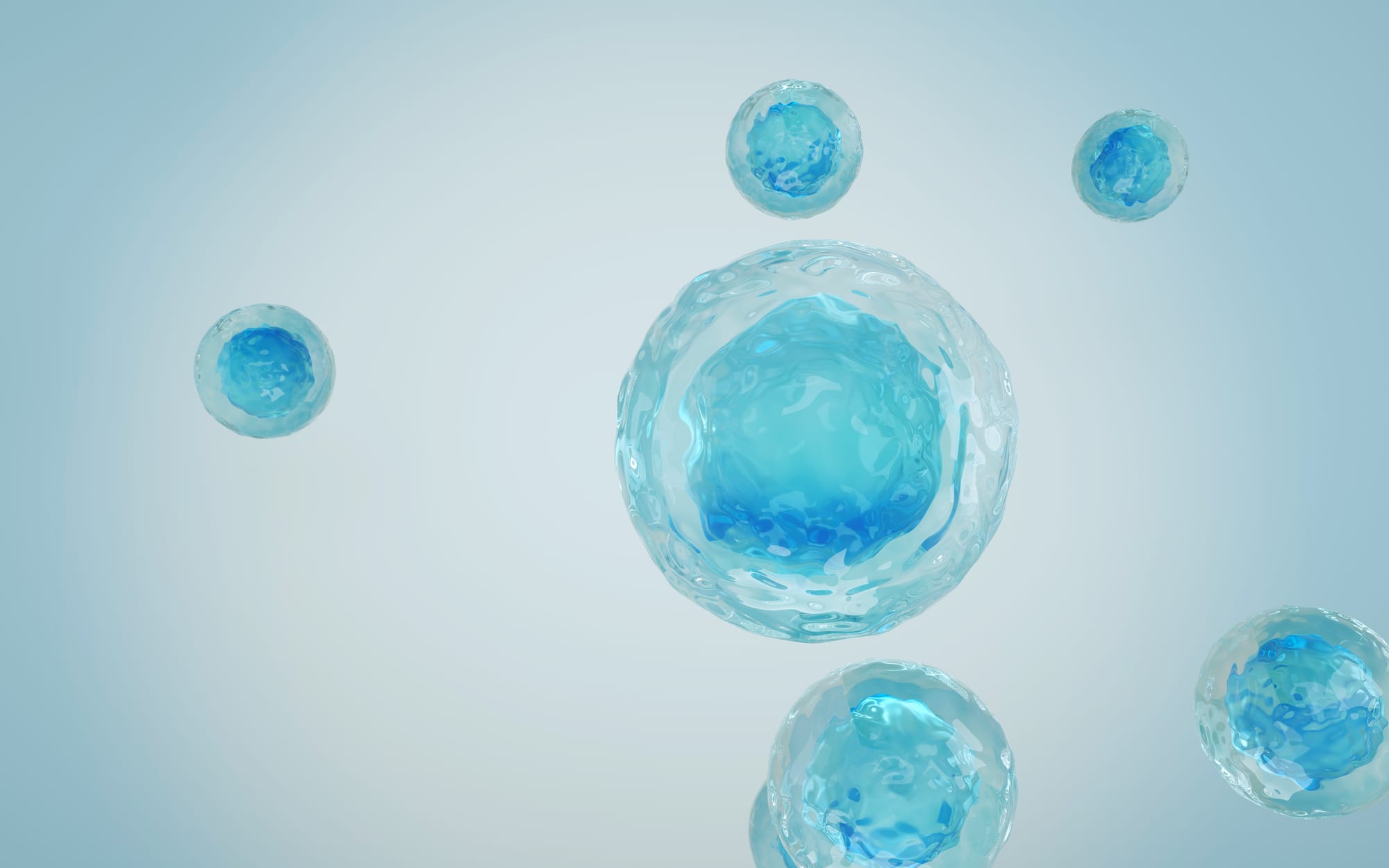 The Core Protocol of Modern Longevity Medicine