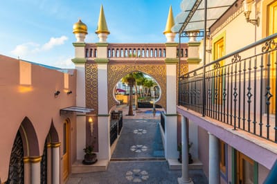 Unlocking Vitality: The Longevity Booster Program