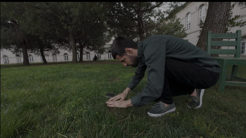 "I Reap What I Sow",  Performance