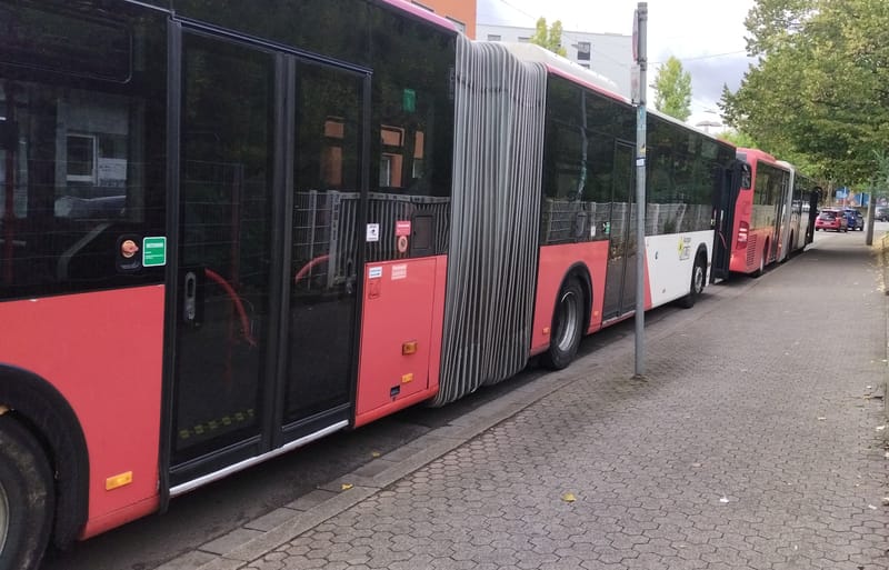 Citaro Gelenkbusse in Aktion 2026