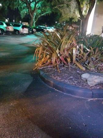 FORENSIC ENGINEERING CONSULTING