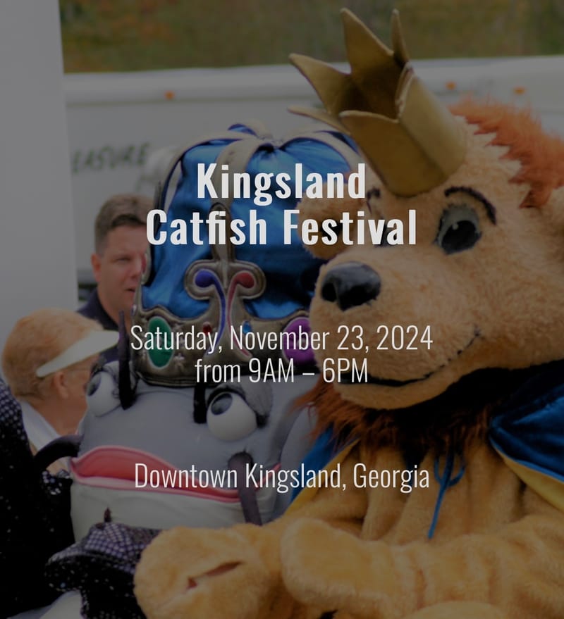 Book Signing - Kingsland Catfish Festival