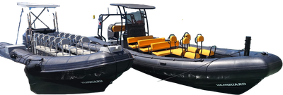 TAXI BOAT  FRENCH RIVIERA