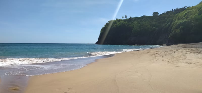 DES VOYAGES EN PROJETS - SONDAGE