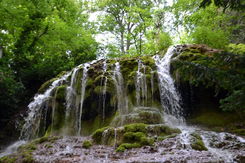 Appel à l'eau