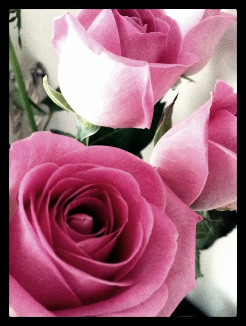 Journée Au coeur de Soi