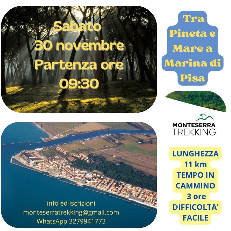 Tra Mare e Pineta a Marina di Pisa