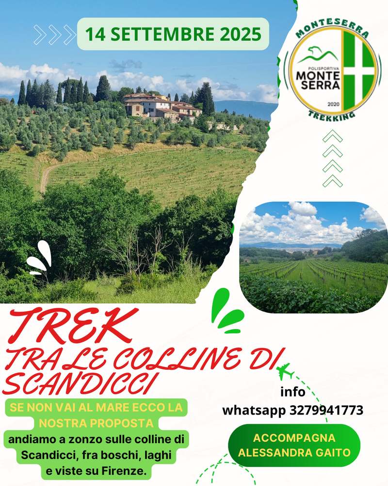 Trek Tra le colline di Scandicci
