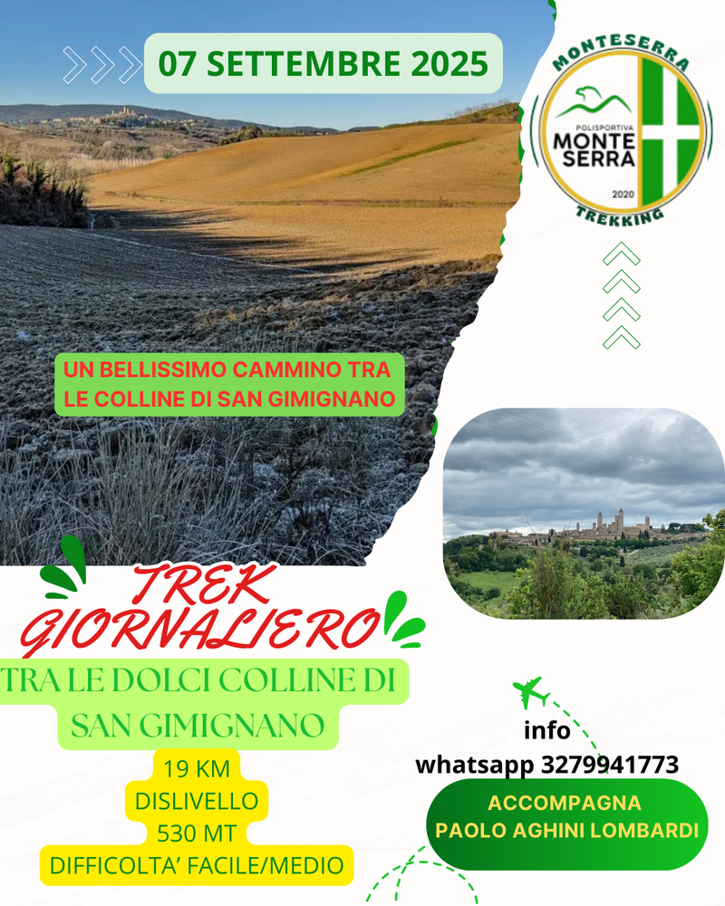 Trek Tra le dolci colline di San Gimignano