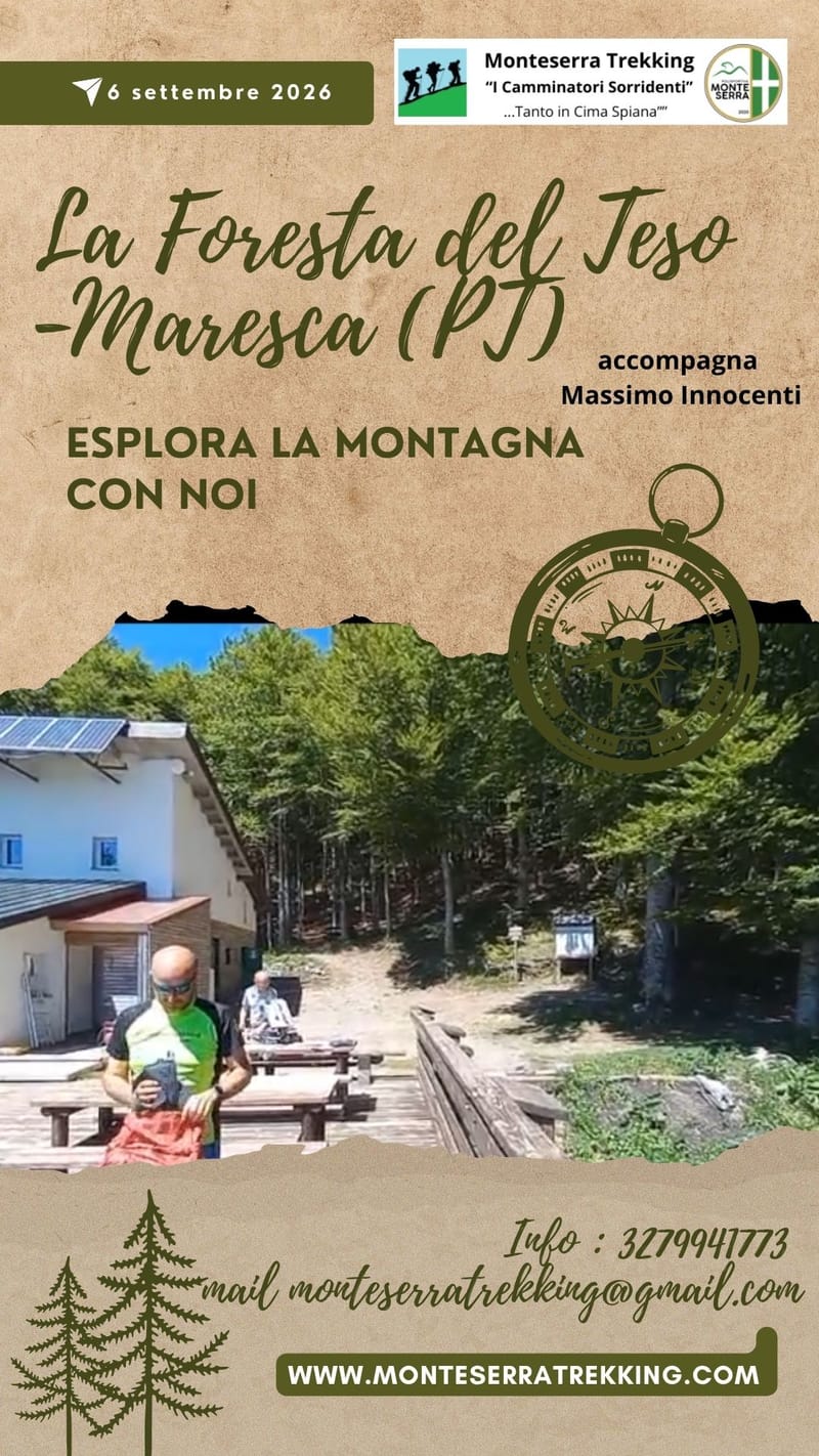 Trek Foresta del Teso