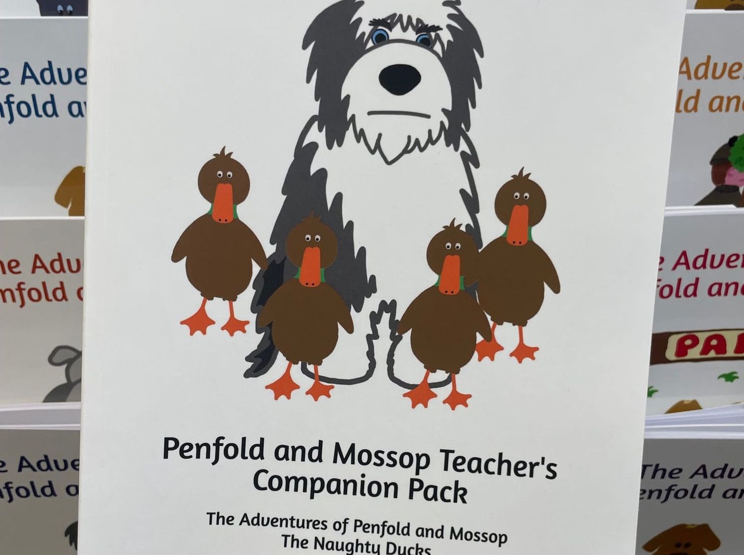 Teacher’s Companion Books