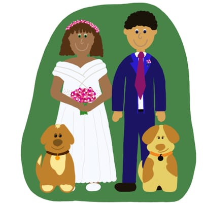 New Book - The Wedding