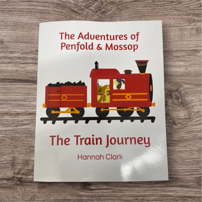 The Train Journey