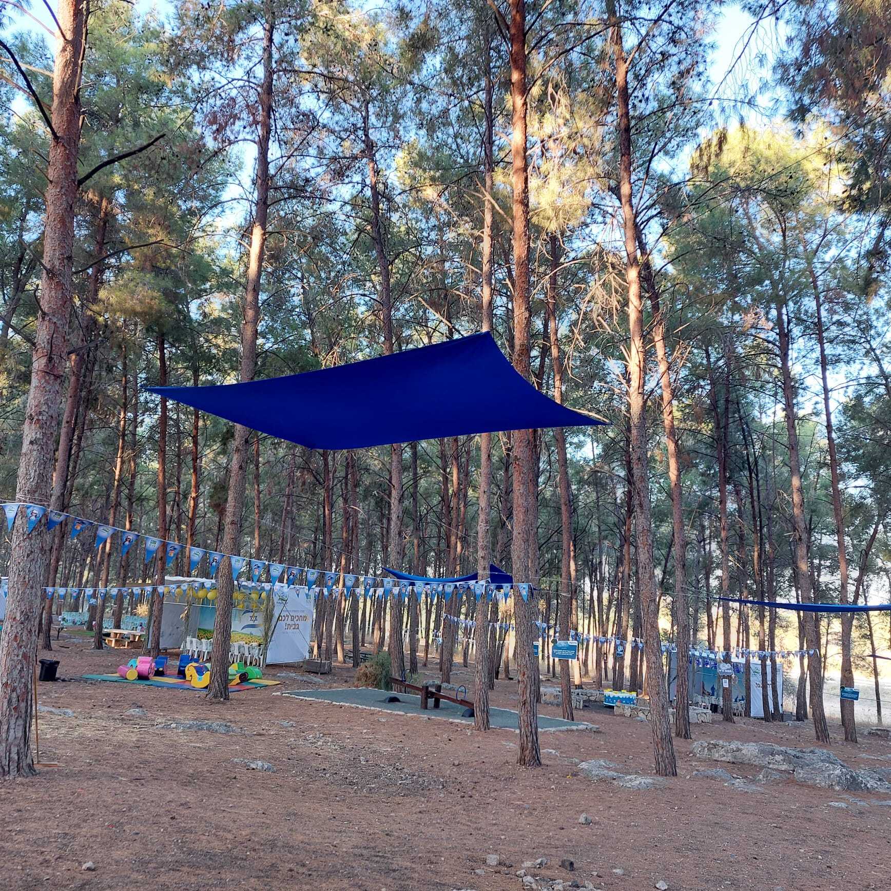 ציליית לייקרה 