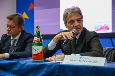 Turismo Campania: linee guida sulle DMO in arrivo entro dicembre, promesse nuove opportunità dall’Assessore Casucci