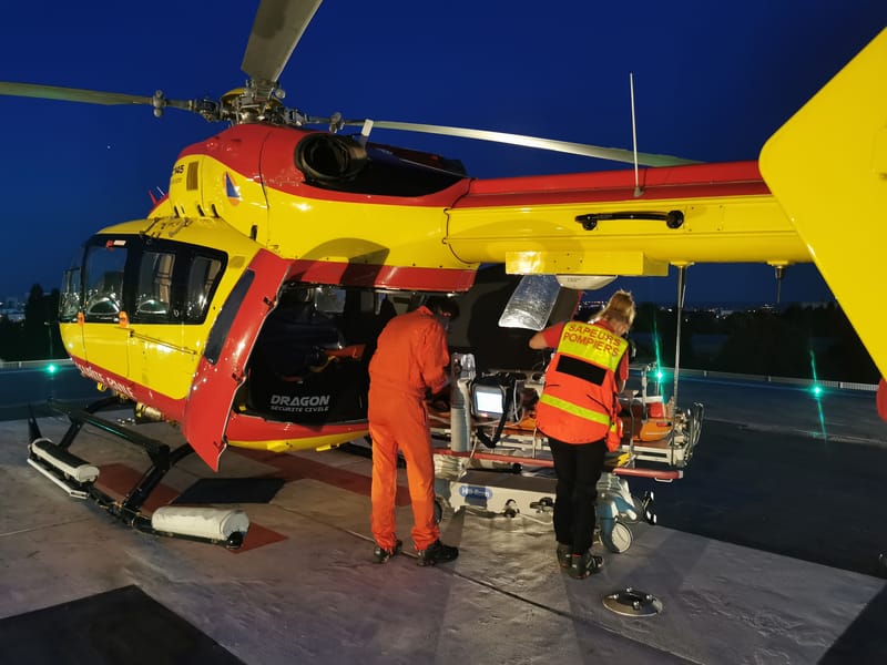 Accident de bûcheronnage