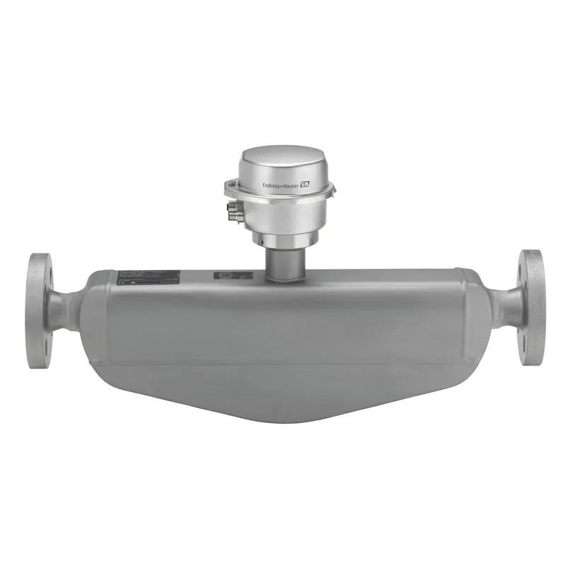 Endress+Hauser Proline Promass P 100 Coriolis flowmeter