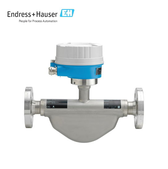 Endress+Hauser LPGmass D8EB Coriolis flowmeter