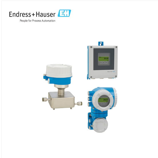 Endress+Hauser E+H Proline Cubemass C 300 Coriolis flowmeter