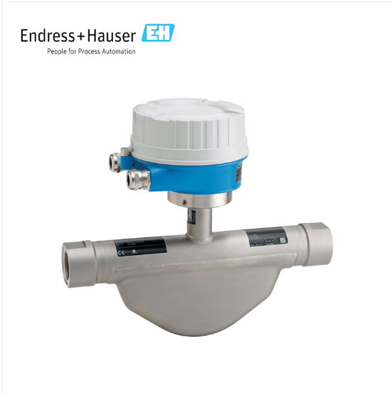ENDRESS+HAUSER E+H Proline Promass G 100 Coriolis flowmeter