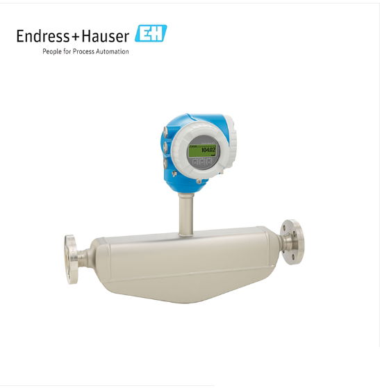 ENDRESS+HAUSER E+H Proline Promass H 300 Coriolis flowmeter