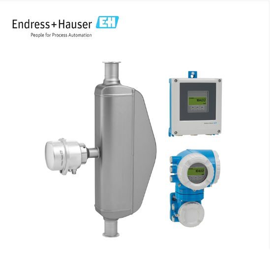ENDRESS+HAUSER E+H Proline Promass S 500 Coriolis flowmeter