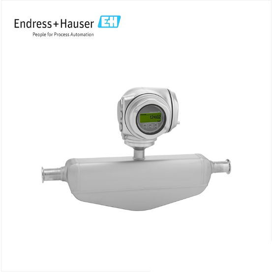 ENDRESS+HAUSER E+H Proline Promass S 300 Coriolis flowmeter