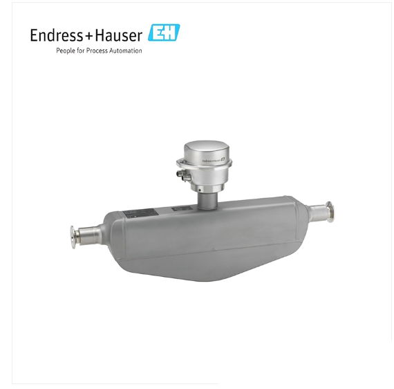 Endress+Hauser E+H Proline Promass S 100 Coriolis flowmeter